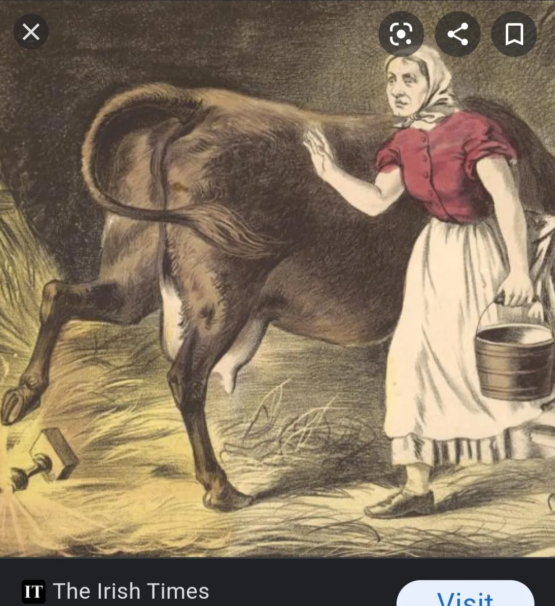 Catherine O'Leary