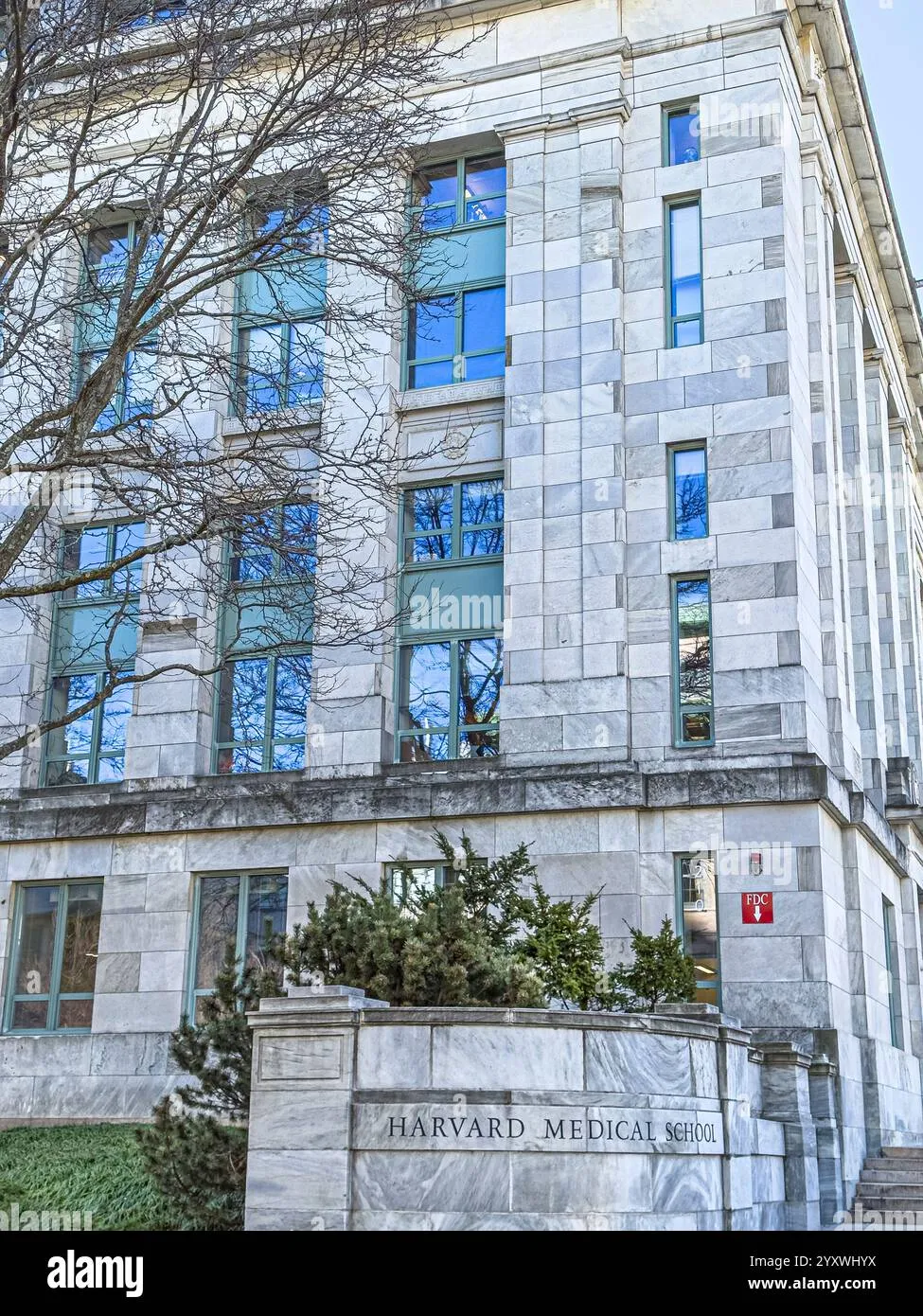 Harvard Medical School