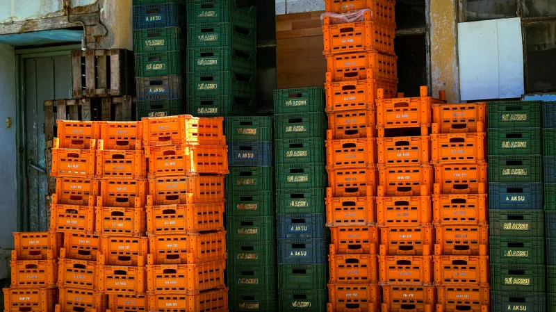 The Ultimate Escape Route: When Freedom Came in a 3x2 Foot Shipping Crate